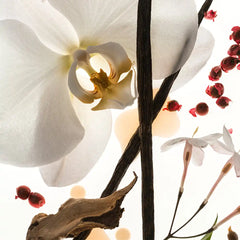 Vanilla Skin - 100mL